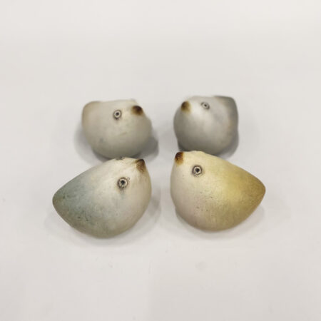 Vogel Pepe Albus - verkoop per vier stuks